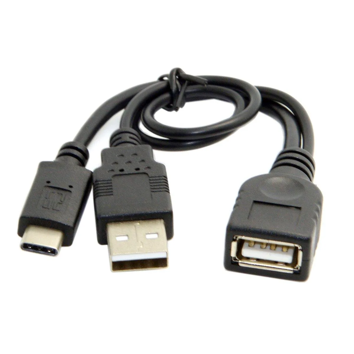 Fervit Fervit USB 3.1 Type-C to USB 2.0 Female OTG Cable with Power — product photo