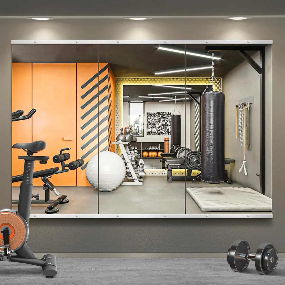 TRAHOME 48 x 24 in 3-Piece Gym Mirror Silver — product photo
