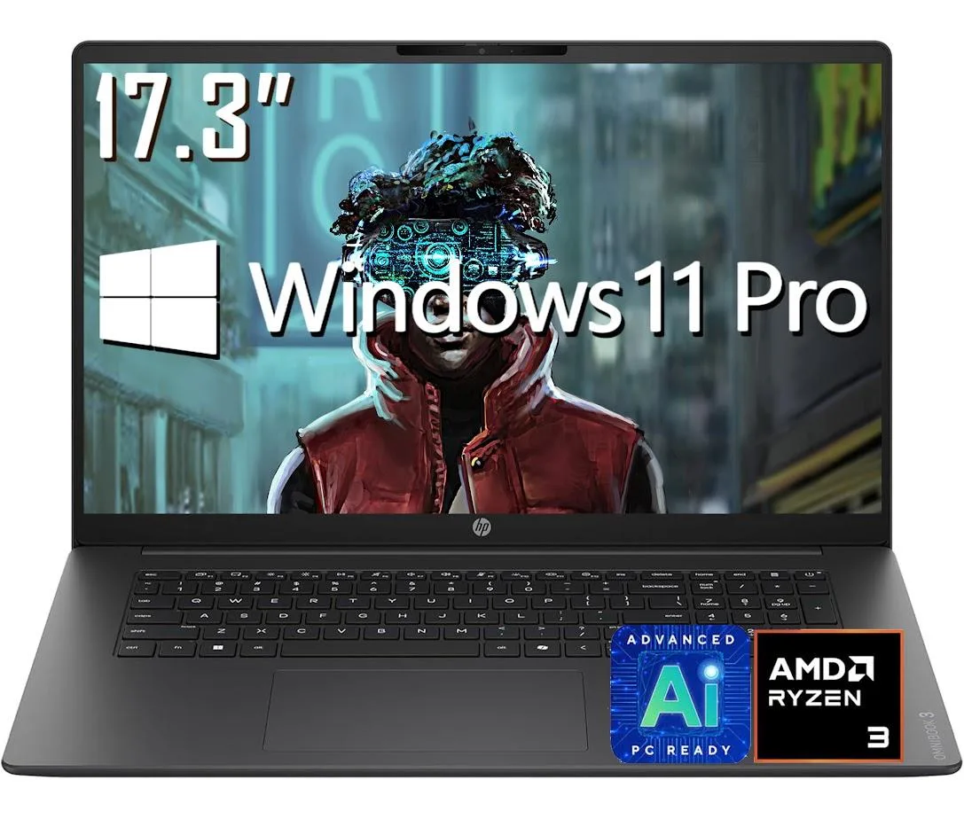 HP HP OmniBook 3 17.3" AMD Ryzen 3 30 8GB 512GB laptop — product photo