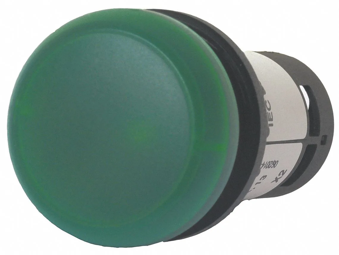 Eaton Eaton C22-L-G-120 Raised Indicator Light Green 120V AC 22mm — product photo