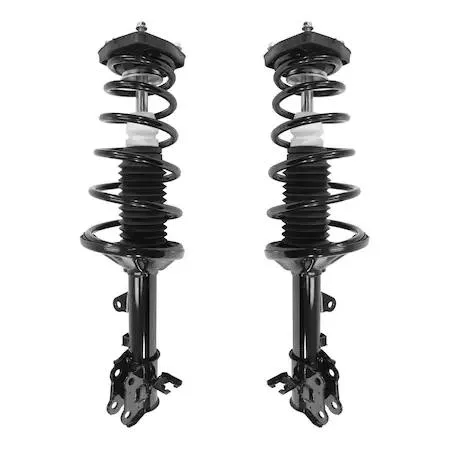 Two rear strut assemblies in a kit, metallic finish, ready to install