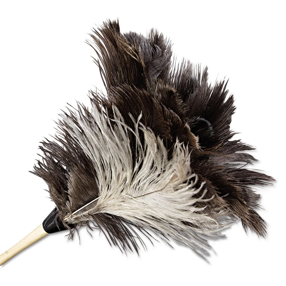 Boardwalk Boardwalk BWK13FD Ostrich Feather Duster 13 cleaning — product photo