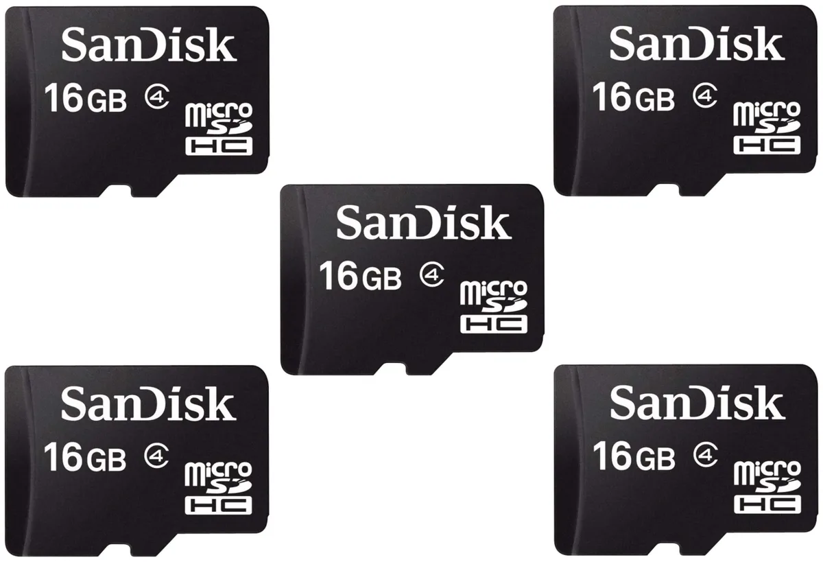 SanDisk SanDisk 16GB microSDHC Class 4 5-pack with cases — product photo