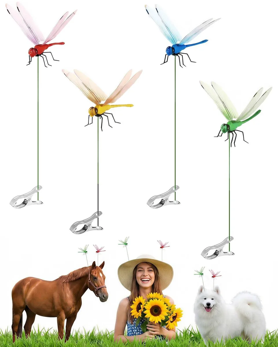Four colourful dragonfly clips with garden stakes