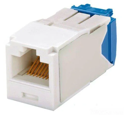Panduit Panduit CJ6X88TGIW Cat6a RJ-45 adapter, off-white — product photo