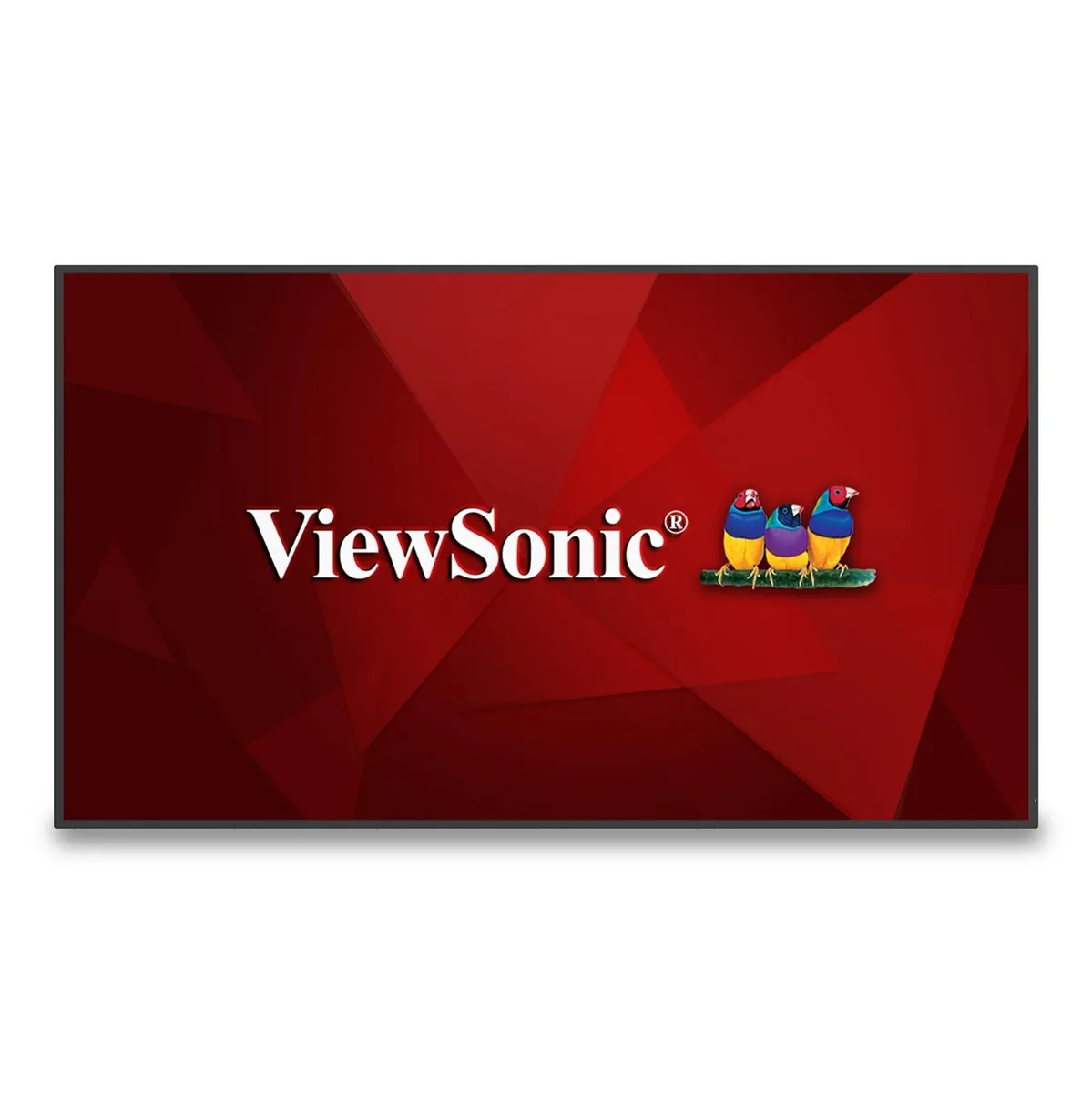 ViewSonic ViewSonic CDE6530 65in commercial display 3840x2160 450 nits — product photo