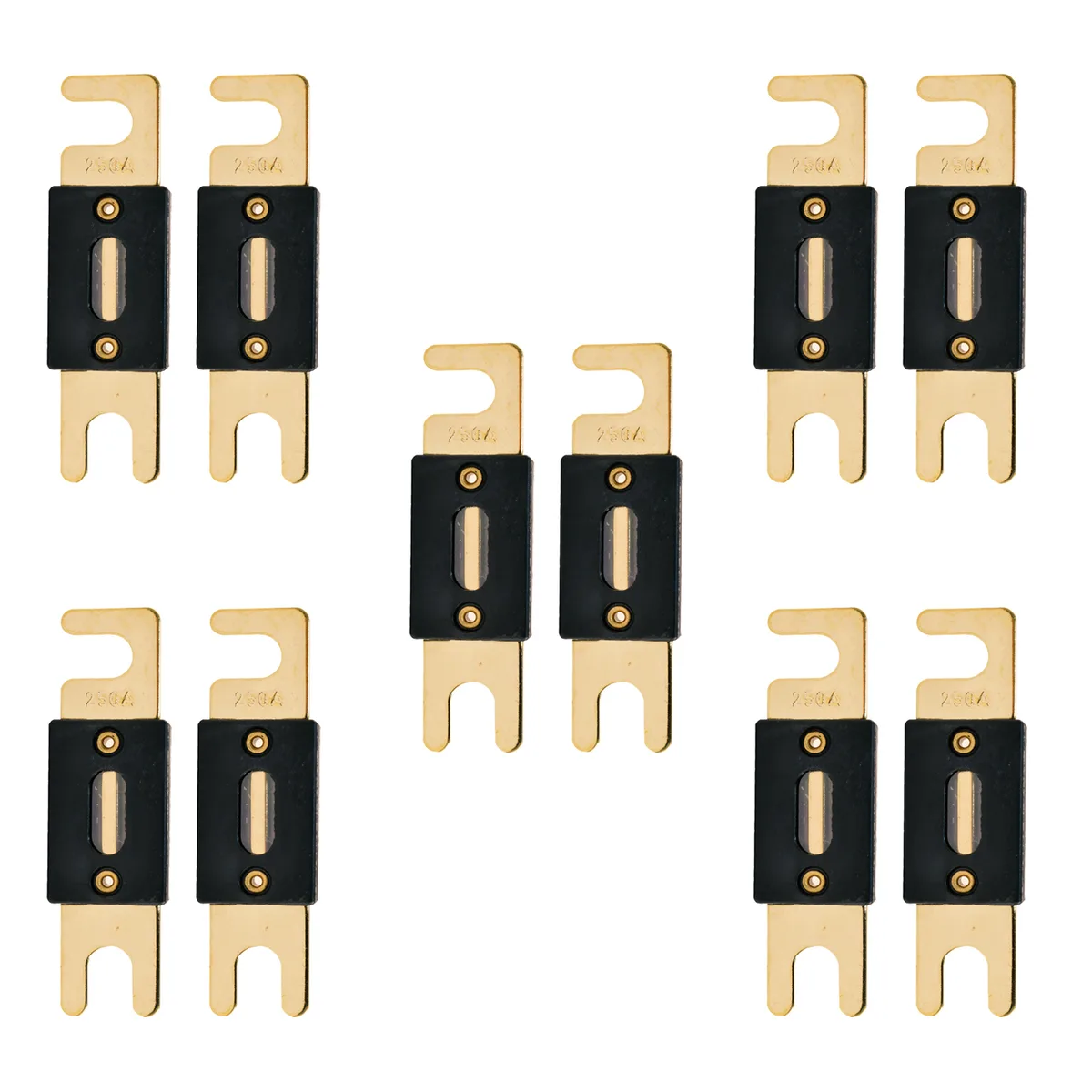 The Wires Zone The Wires Zone 5X-GANL250-2 amplifier fuse 250A 10 pack — product photo