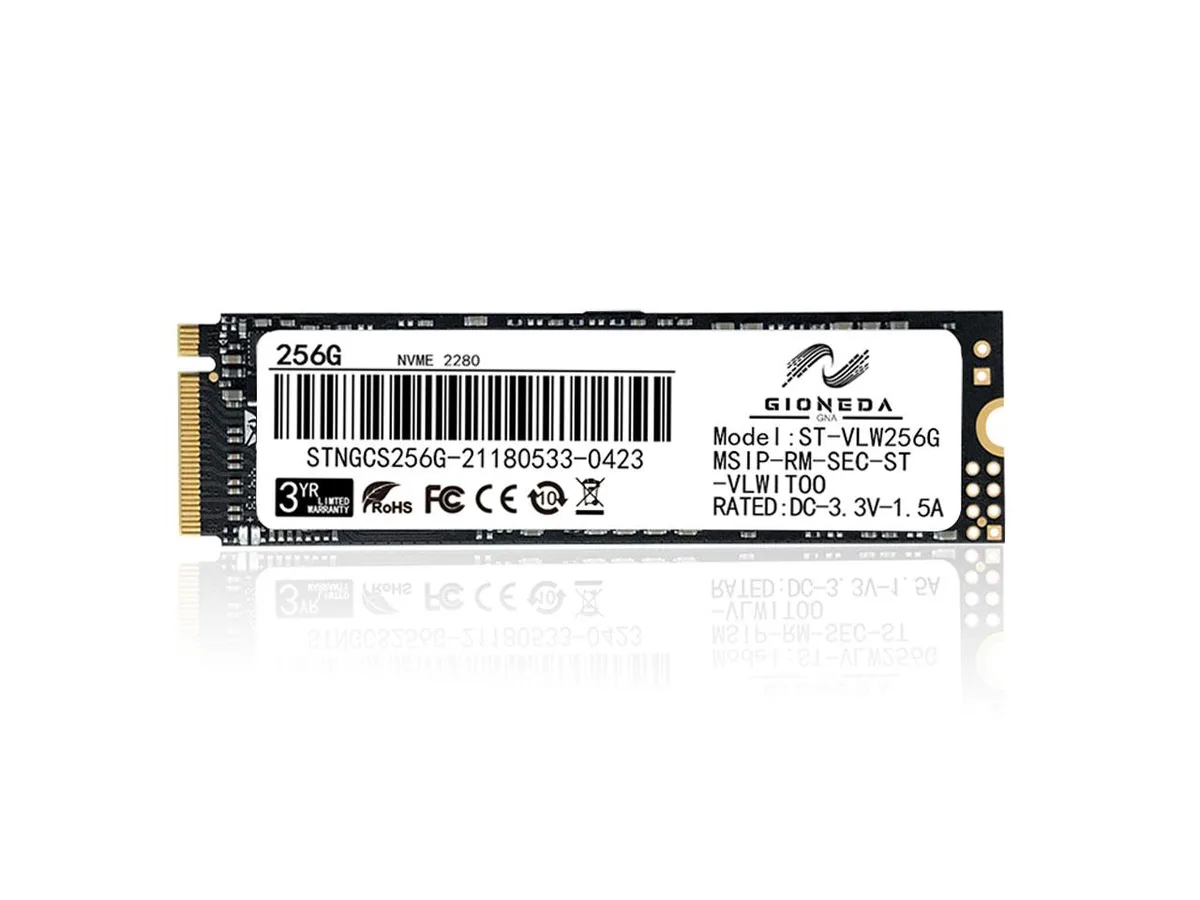 GIONEDA GIONEDA 256GB M.2 2280 NVMe internal SSD — product photo
