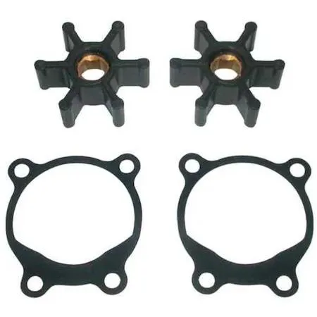 Dayton utility pump repair kit with two impellers and two gaskets