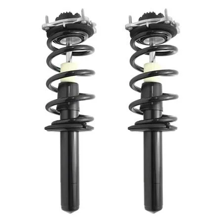 Pair of silver front strut assemblies with coil springs and top mounts