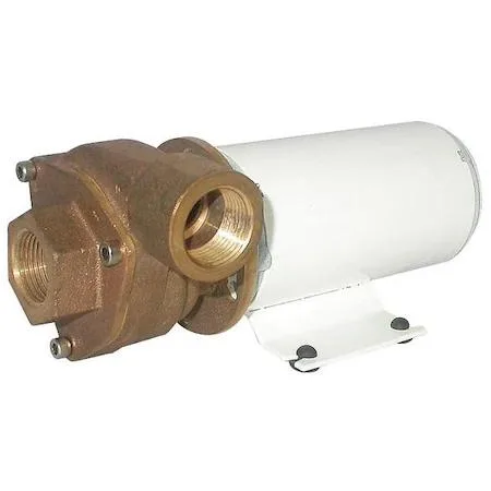 Dayton Dayton 5PXW9 1/8 HP Centrifugal Pump 36V Brass — product photo