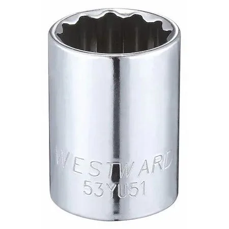 Chrome 12-point socket 13/16 inch drive 1/2 inch
