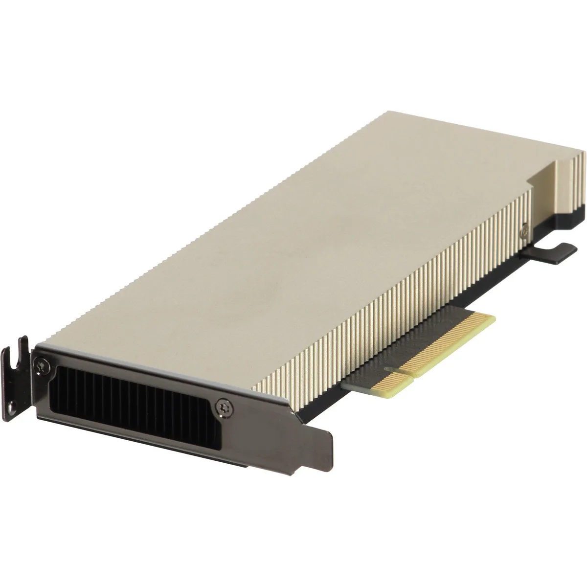 DELL DELL NVIDIA A2 Tensor Core 16GB GDDR6 60W GPU v2 490-BHVQ — product photo