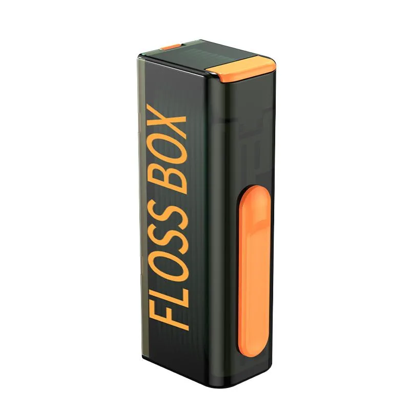 Small rectangular floss box with mirror finish