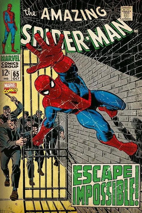 Spider-Man poster print, 24 by 36 inches, glossy paper, rolled in tube