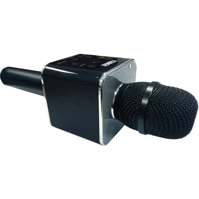 Naxa Electronics, Inc. Naxa Electronics, Inc. NKM-103 Handheld Karaoke System — product photo