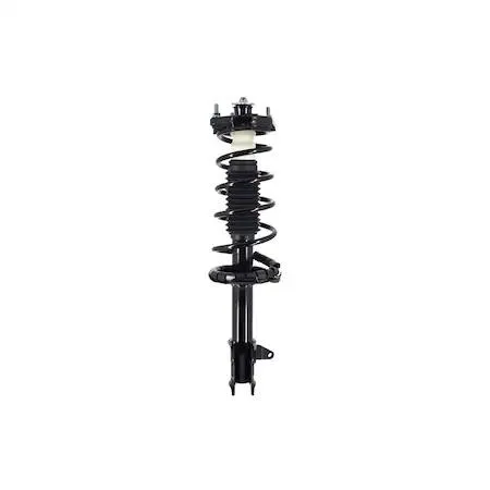 Silver complete strut assembly with coiled spring and piston rod