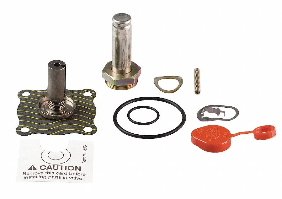 ASCO Power Technologies ASCO Power Technologies 302272 Valve Rebuild Kit — product photo