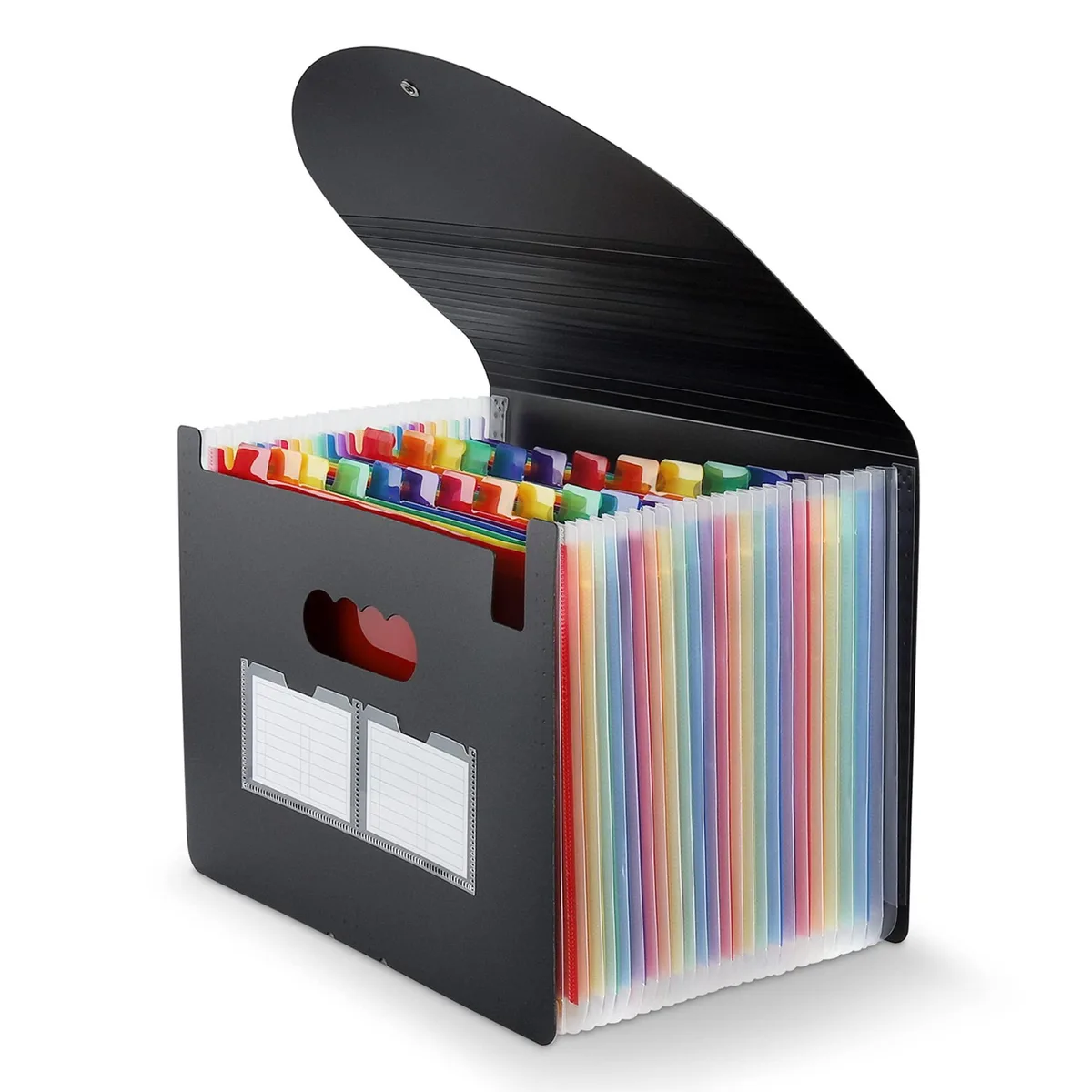 Black polypropylene accordion folder with 24 coloured tabbed pockets and cord closure