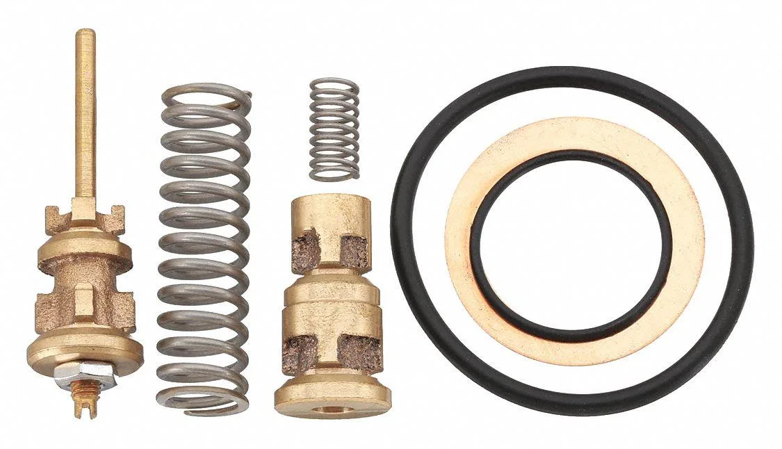 Small brass poppet valve kit with metal housing