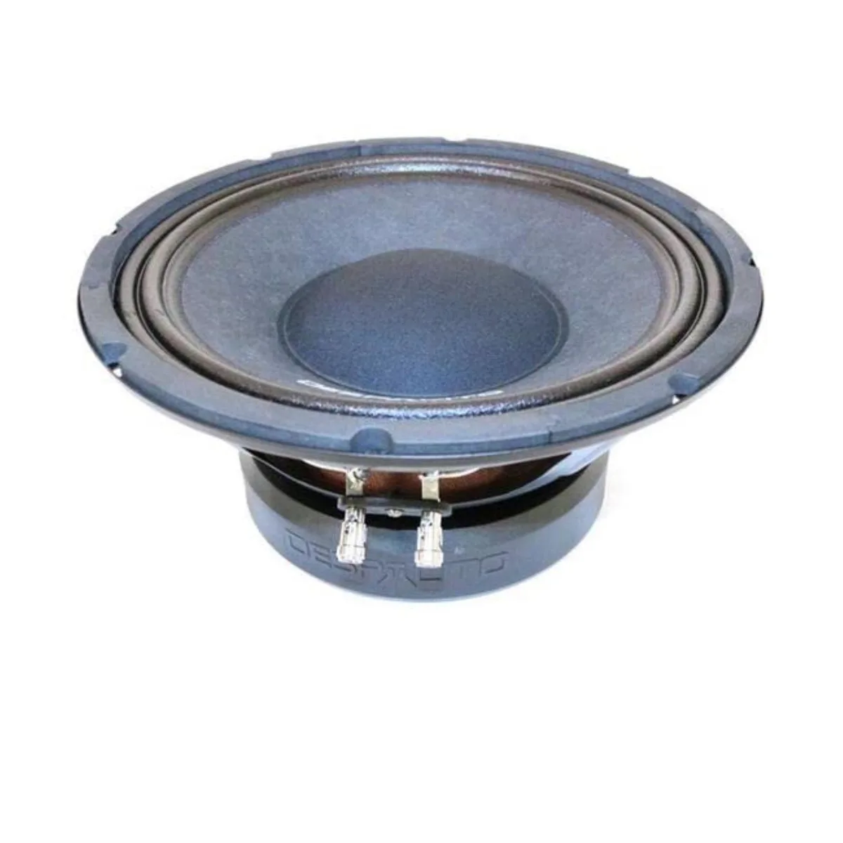 Black 10 inch midbass speaker driver with silver cone
