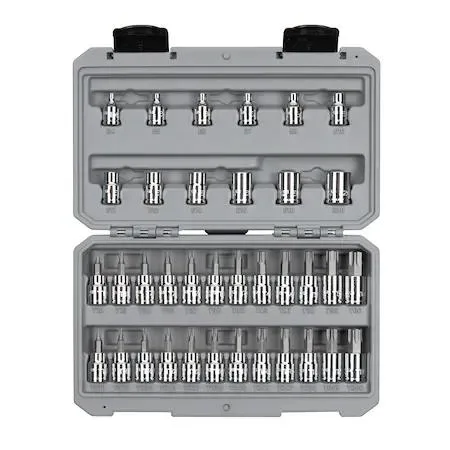 Transparent case holding 3/8 inch drive Torx and tamper-resistant Torx bit sockets