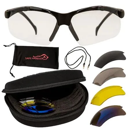 BISON LIFE BISON LIFE Valkyrie Safety Glasses 5 Lens Set Black Frame Transparent — product photo