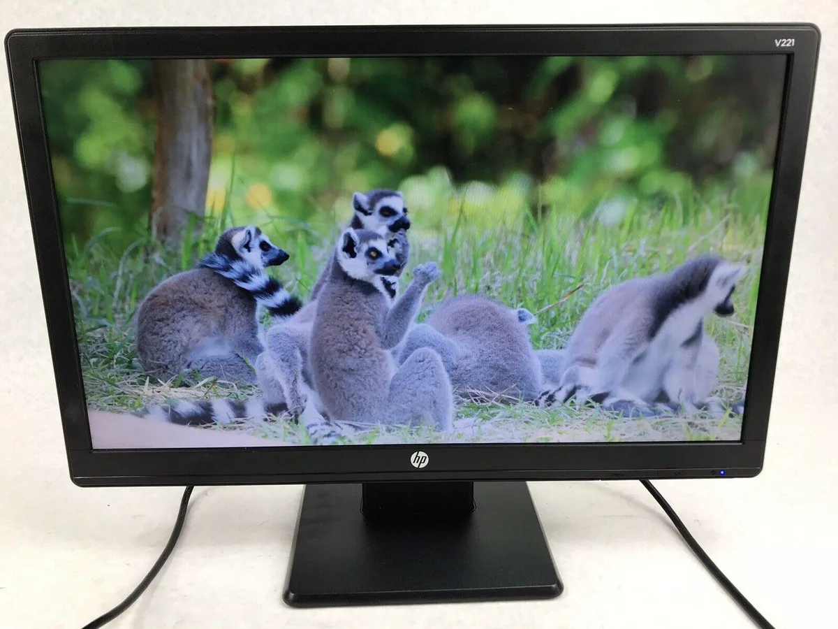 HP HP V221 22" monitor accessory — product photo