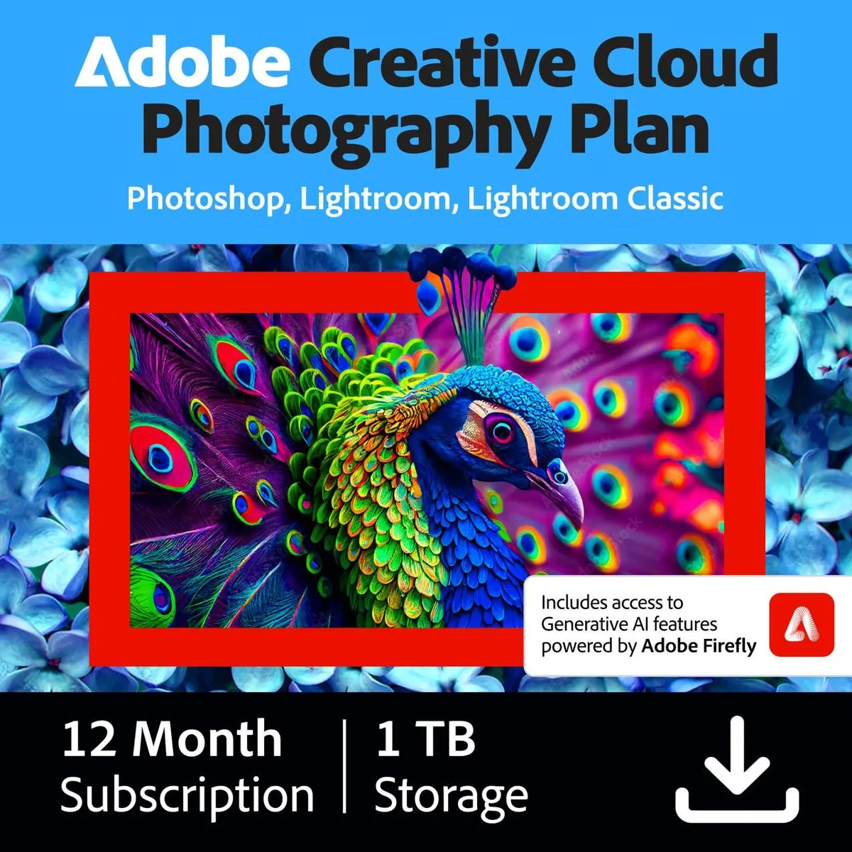 Adobe Adobe 65332976 Creative Cloud Photography Plan 1TB 1-Year Subscription — product photo