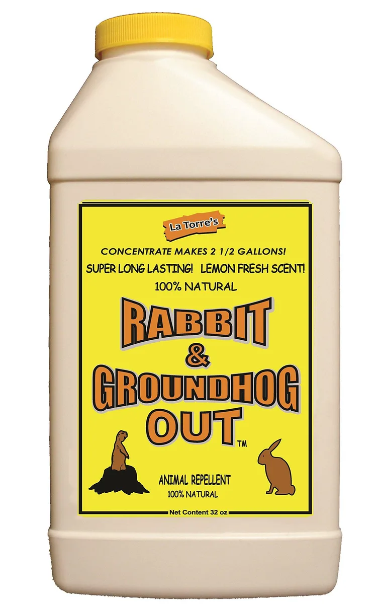 Deer Out Rabbit & Groundhog Repellent 32oz Concentrate — product photo