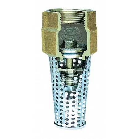 Bronze foot valve with stainless steel strainer, 1 1/2 inch FNPT connections