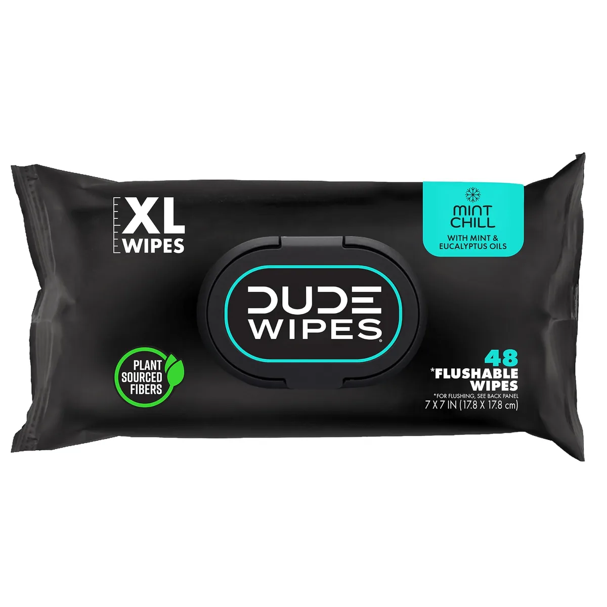 Rectangular white pack labelled DUDE Wipes Mint Chill 48 count