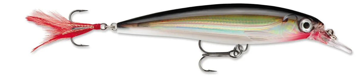 Rapala XR10S Suspending Jerkbait 4in Silver 10 16 — product photo
