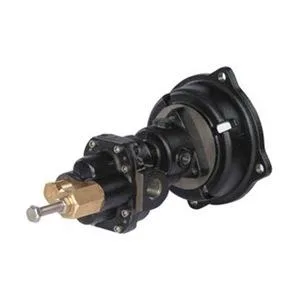 Cast iron rotary gear pump head with 1/4 inch NPT inlet, 125 psi rating