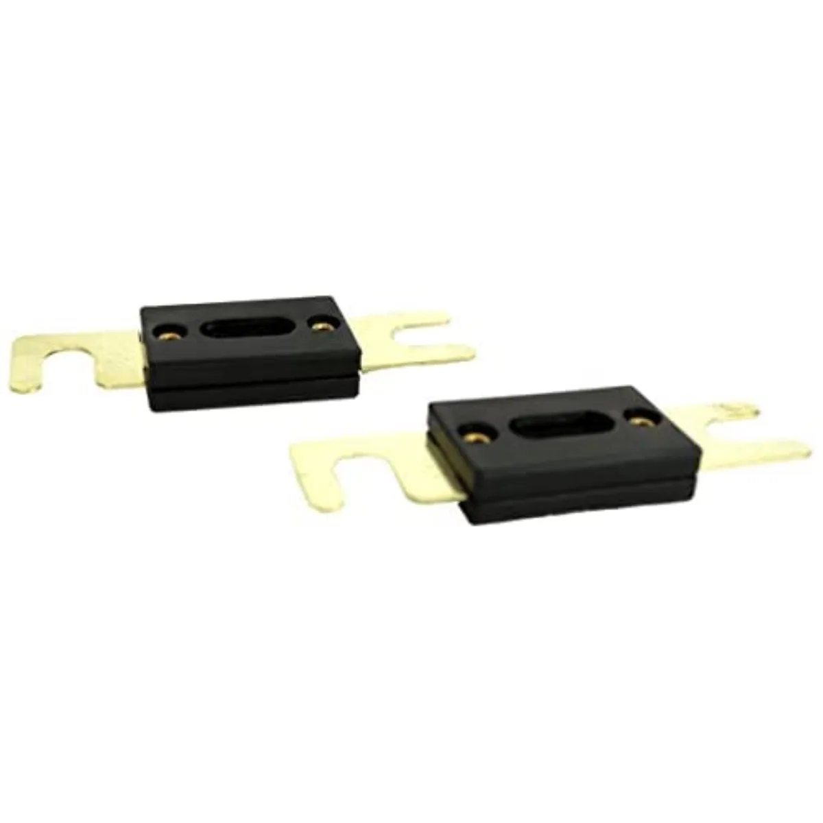 Two ANL blade fuses in clear plastic housing
