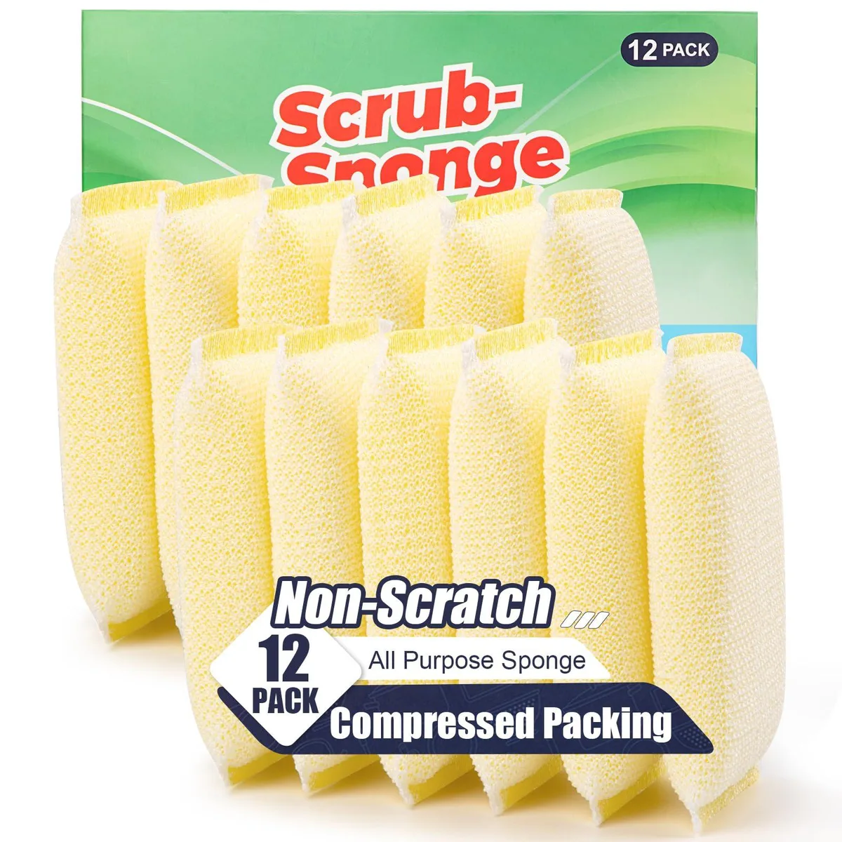 Twelve compressed white sponges in a rectangular box